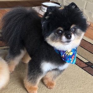 Meet your Posher, Vicki